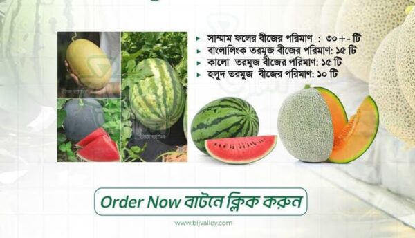 হলুদ,কালো বাংলালিংক ৩ জাতের তরমুজ + সাম্মামের বীজের কম্বো প্যাকেজ।